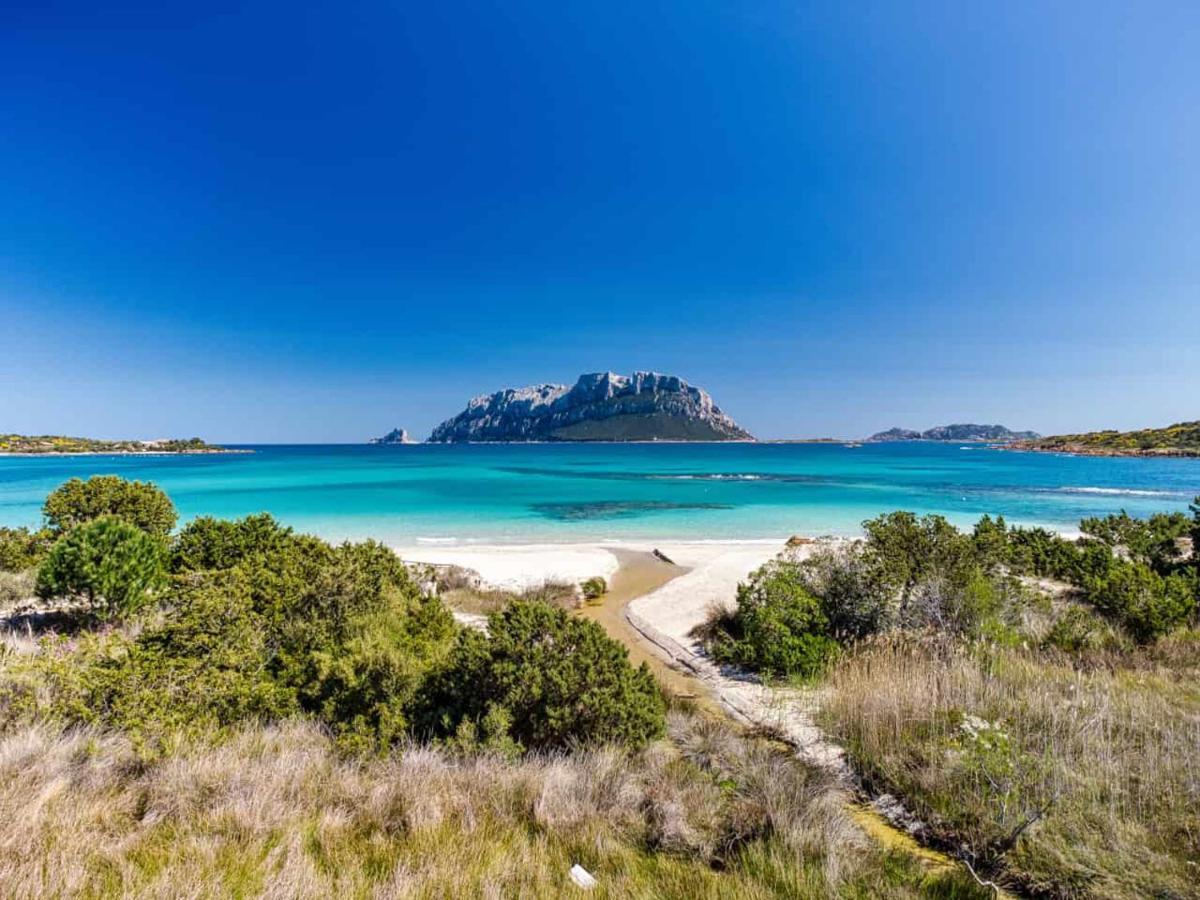Attico Vespucci Luxury Penthouse Apartman Olbia Kültér fotó